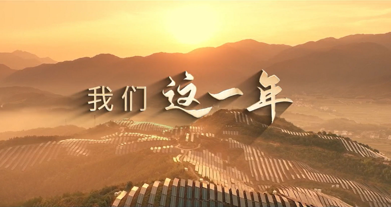 核电全部牌照